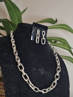 Etienne Aigner Silver-Tone Braided Link Necklace & Earrings Set